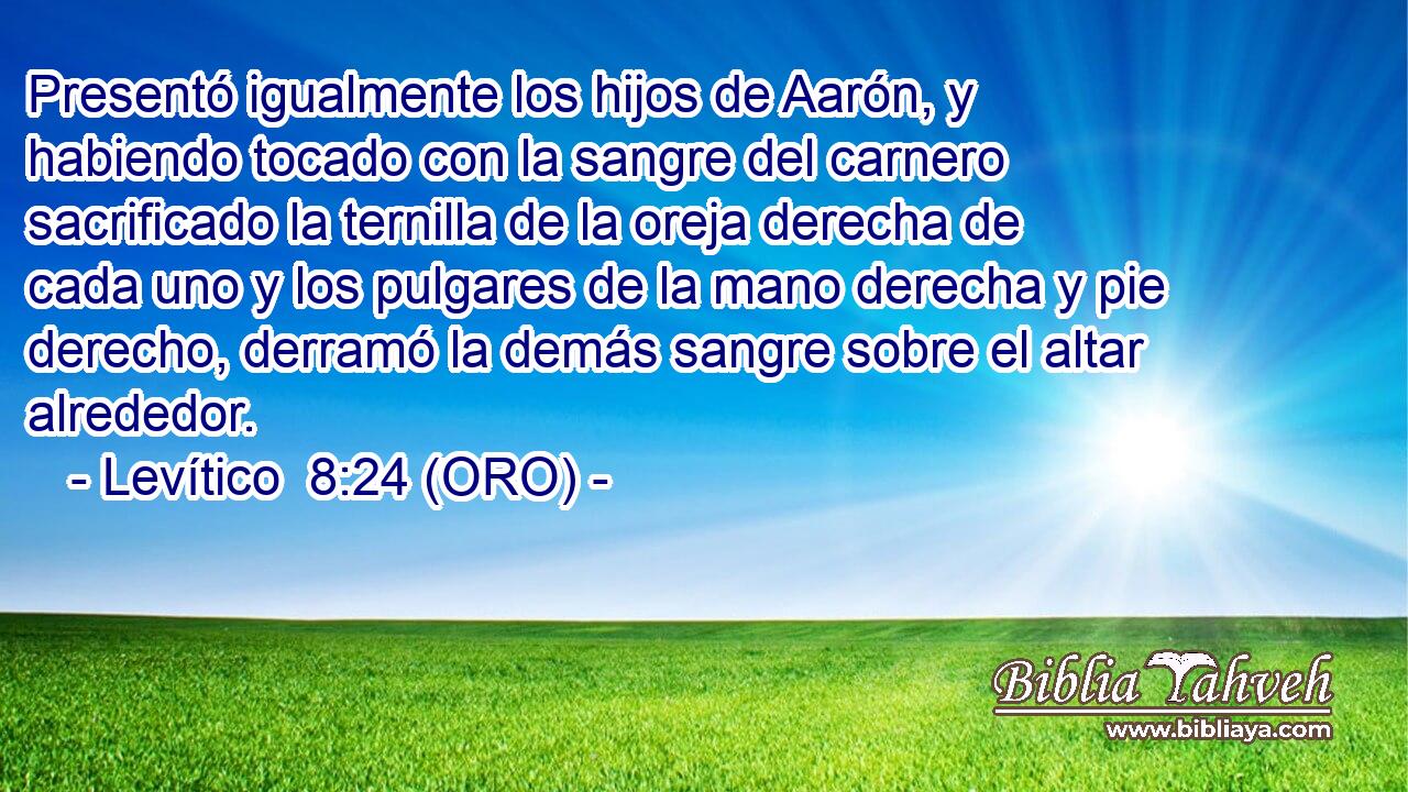  Presentó igualmente los hijos de Aarón, y habiendo tocado con la sangre del carnero sacrificado la ternilla de la oreja derecha de cada uno y los pulgares de la mano derecha y pie derecho, derramó la demás sangre sobre el altar alrededor. 