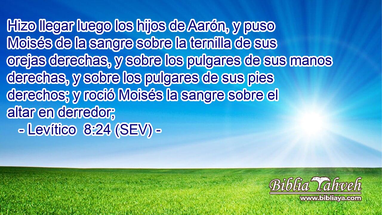 Hizo llegar luego los hijos de Aarón, y puso Moisés de la sangre sobre la ternilla de sus orejas derechas, y sobre los pulgares de sus manos derechas, y sobre los pulgares de sus pies derechos; y roció Moisés la sangre sobre el altar en derredor;