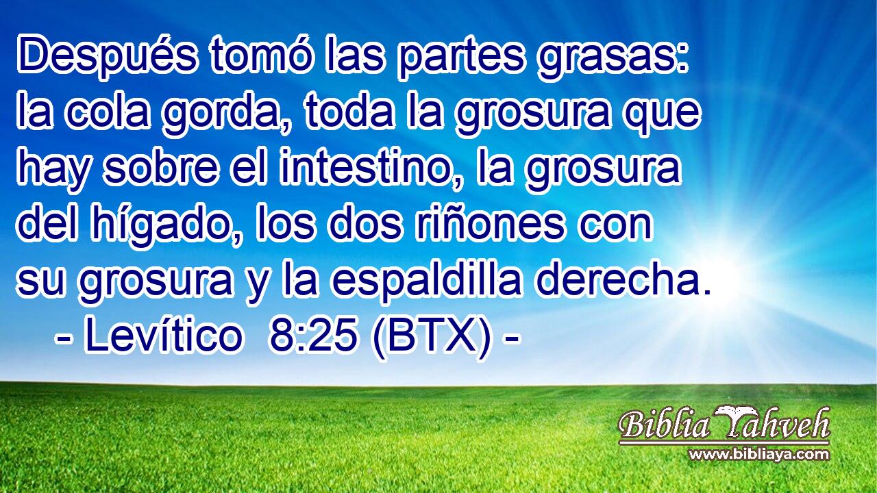 Después tomó las partes grasas: la cola gorda, toda la grosura que hay sobre el intestino, la grosura del hígado, los dos riñones con su grosura y la espaldilla derecha.