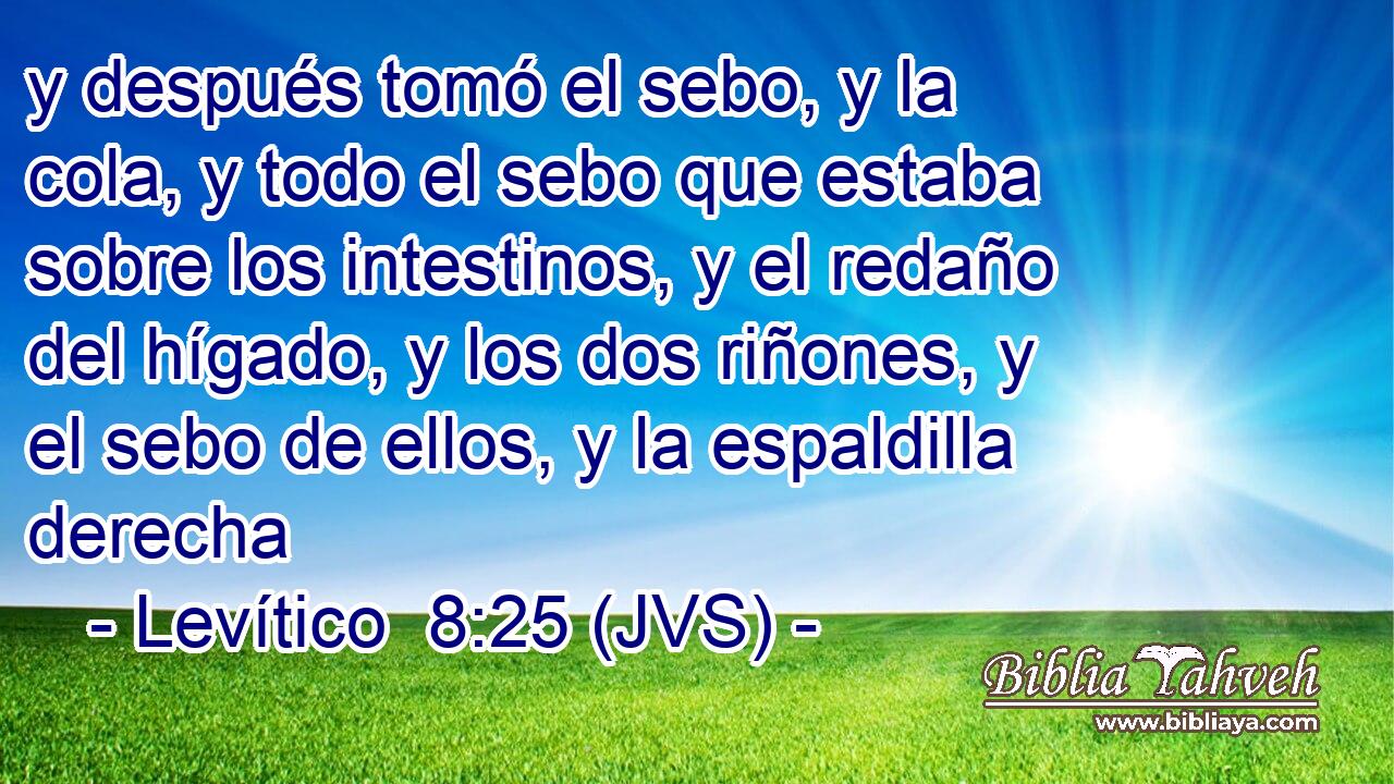 y después tomó el sebo, y la cola, y todo el sebo que estaba sobre los intestinos, y el redaño del hígado, y los dos riñones, y el sebo de ellos, y la espaldilla derecha