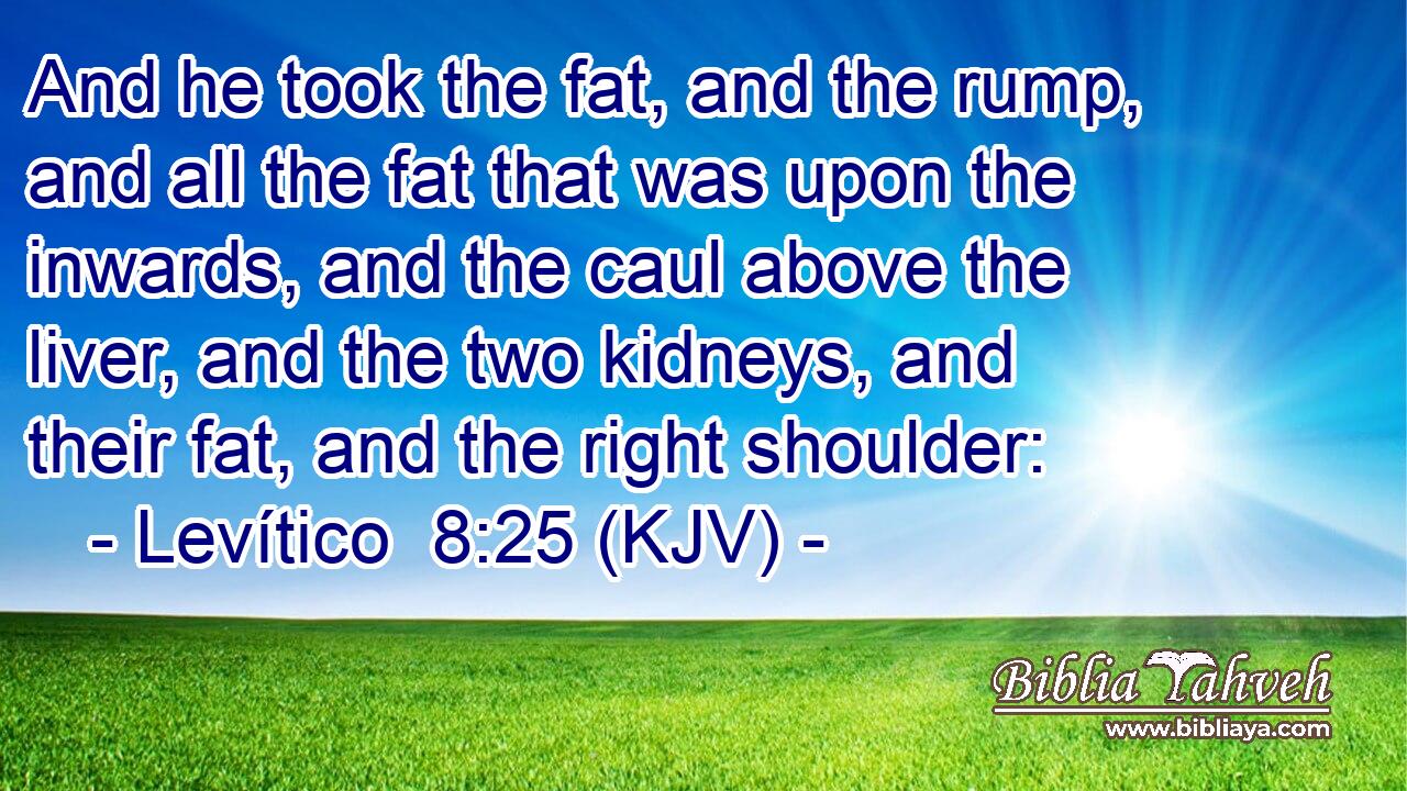 And he took the fat, and the rump, and all the fat that was upon the inwards, and the caul above the liver, and the two kidneys, and their fat, and the right shoulder: