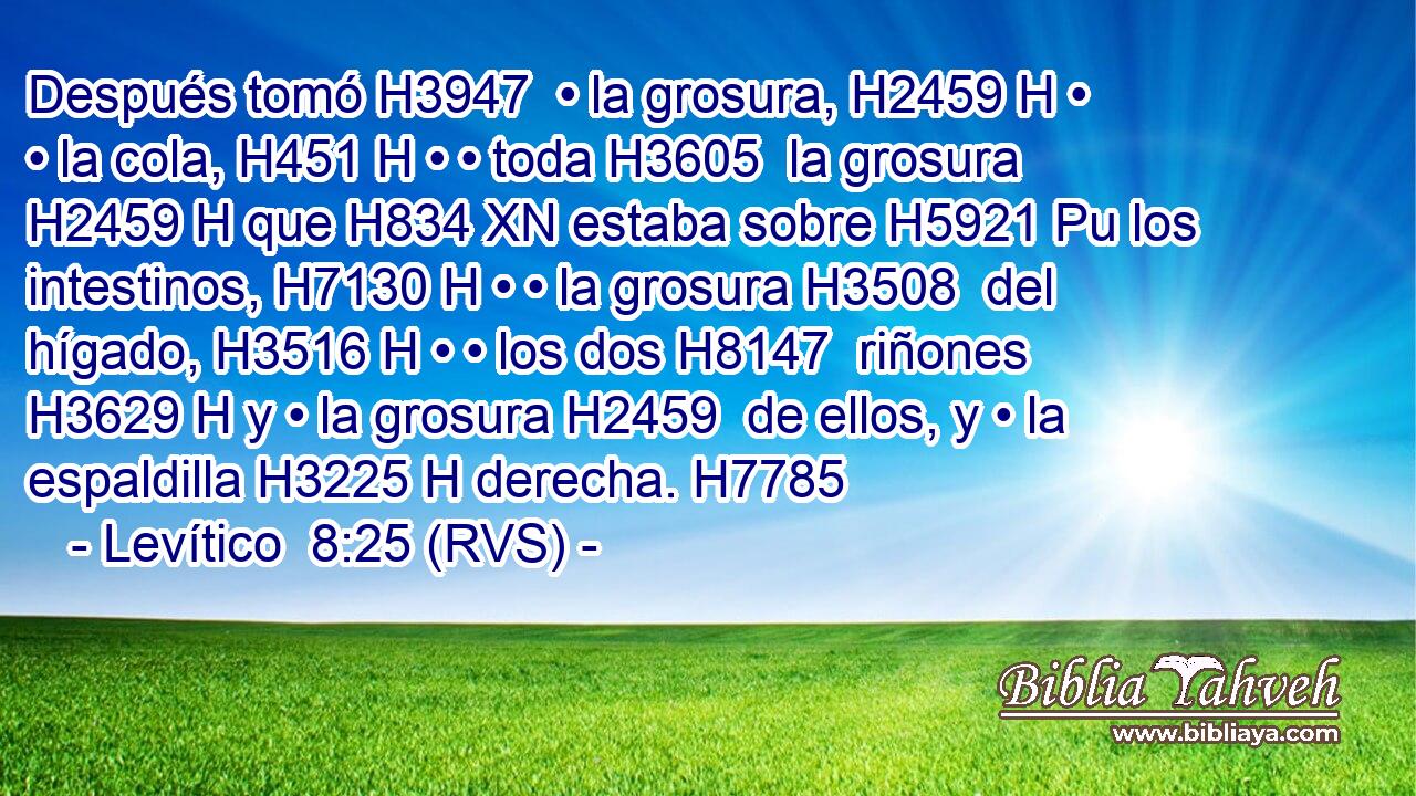 Después tomó H3947  • la grosura, H2459 H • • la cola, H451 H • • toda H3605  la grosura H2459 H que H834 XN estaba sobre H5921 Pu los intestinos, H7130 H • • la grosura H3508  del hígado, H3516 H • • los dos H8147  riñones H3629 H y • la grosura H2459  de ellos, y • la espaldilla H3225 H derecha. H7785  