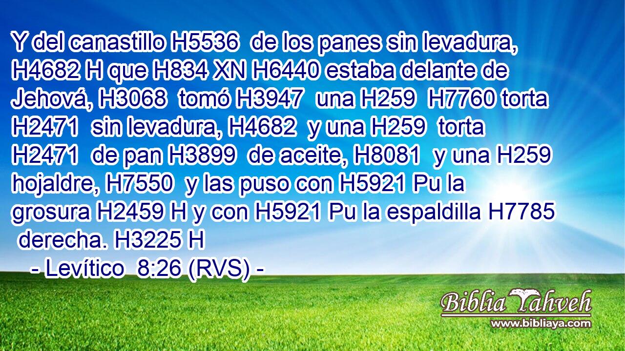 Y del canastillo H5536  de los panes sin levadura, H4682 H que H834 XN H6440 estaba delante de Jehová, H3068  tomó H3947  una H259  H7760 torta H2471  sin levadura, H4682  y una H259  torta H2471  de pan H3899  de aceite, H8081  y una H259  hojaldre, H7550  y las puso con H5921 Pu la grosura H2459 H y con H5921 Pu la espaldilla H7785  derecha. H3225 H 