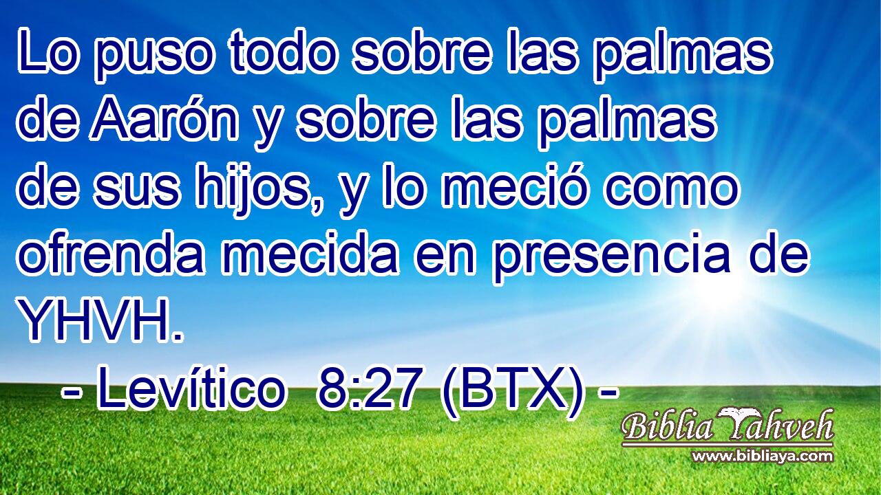 Lo puso todo sobre las palmas de Aarón y sobre las palmas de sus hijos, y lo meció como ofrenda mecida en presencia de YHVH.
