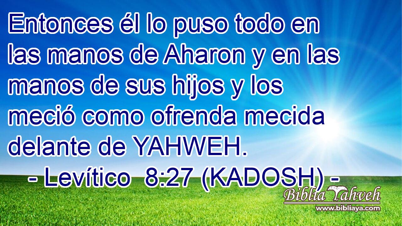  Entonces él lo puso todo en las manos de Aharon y en las manos de sus hijos y los meció como ofrenda mecida delante de YAHWEH. 