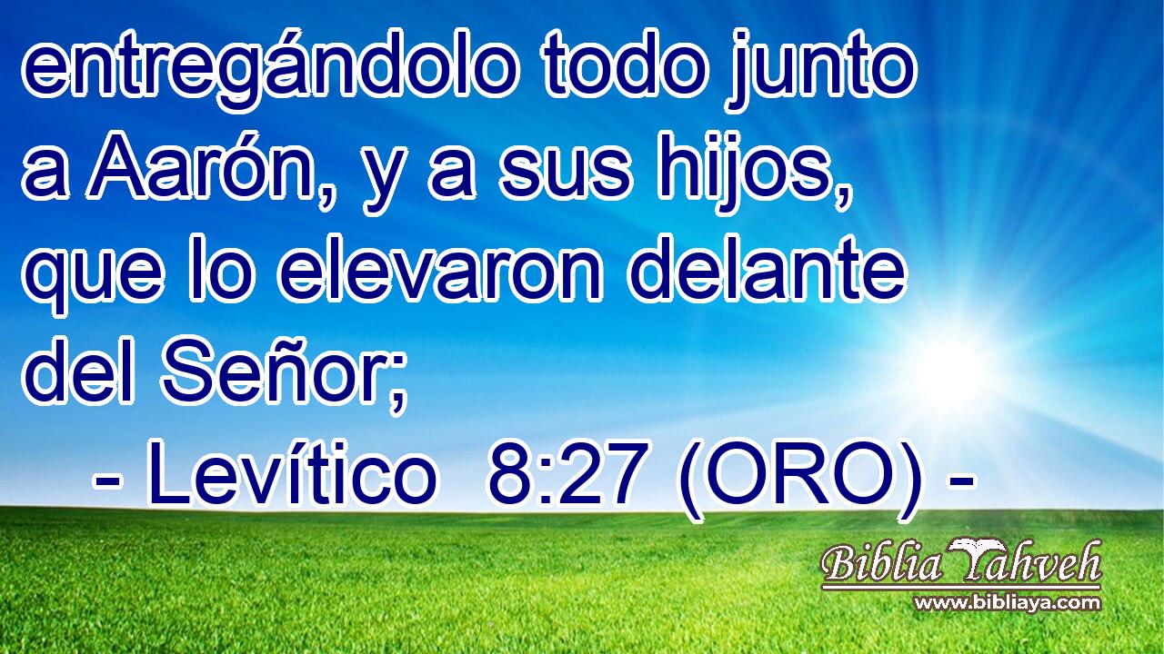  entregándolo todo junto a Aarón, y a sus hijos, que lo elevaron delante del Señor; 