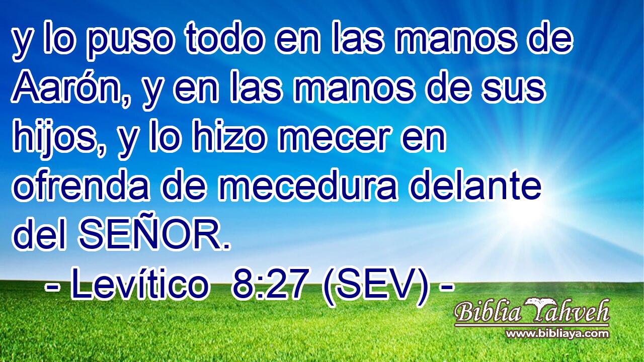 y lo puso todo en las manos de Aarón, y en las manos de sus hijos, y lo hizo mecer en ofrenda de mecedura delante del SEÑOR.