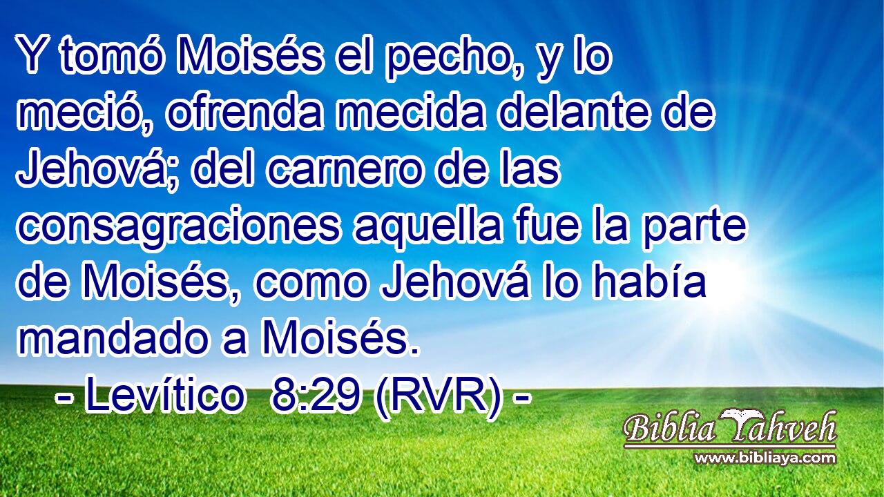 Y tomó Moisés el pecho, y lo meció, ofrenda mecida delante de Jehová; del carnero de las consagraciones aquella fue la parte de Moisés, como Jehová lo había mandado a Moisés.