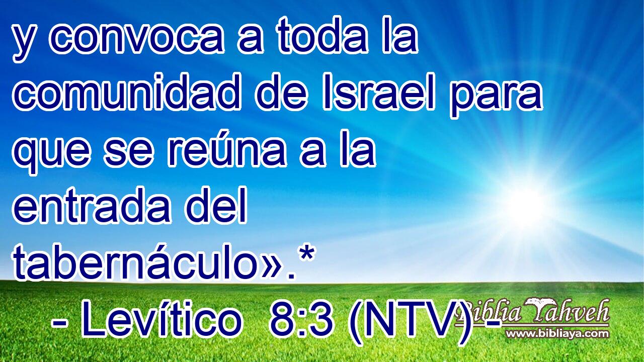 y convoca a toda la comunidad de Israel para que se reúna a la entrada del tabernáculo».*