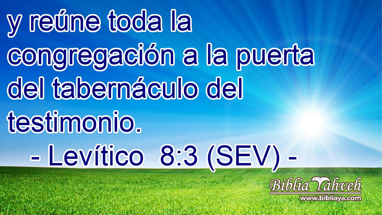 y reúne toda la congregación a la puerta del tabernáculo del testimonio.