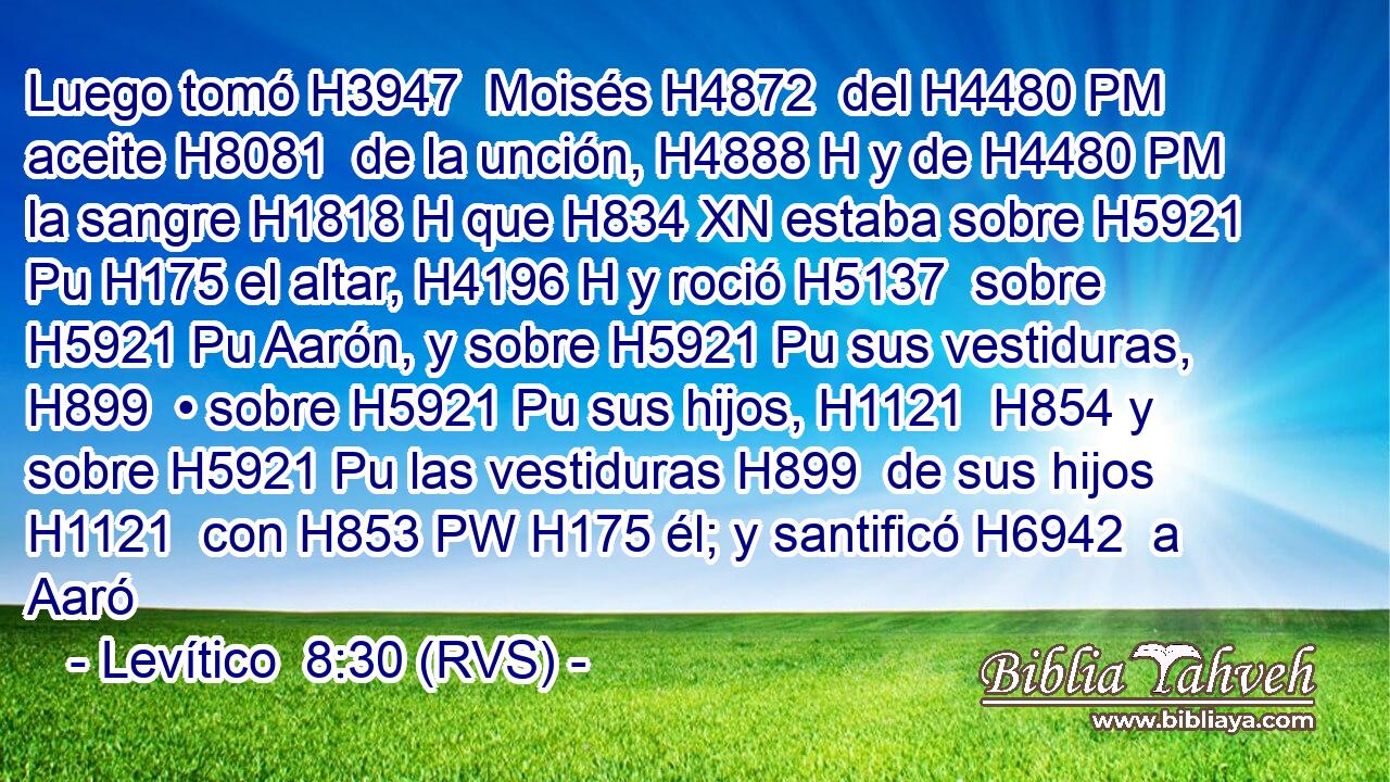 Luego tomó H3947  Moisés H4872  del H4480 PM aceite H8081  de la unción, H4888 H y de H4480 PM la sangre H1818 H que H834 XN estaba sobre H5921 Pu H175 el altar, H4196 H y roció H5137  sobre H5921 Pu Aarón, y sobre H5921 Pu sus vestiduras, H899  • sobre H5921 Pu sus hijos, H1121  H854 y sobre H5921 Pu las vestiduras H899  de sus hijos H1121  con H853 PW H175 él; y santificó H6942  a Aaró