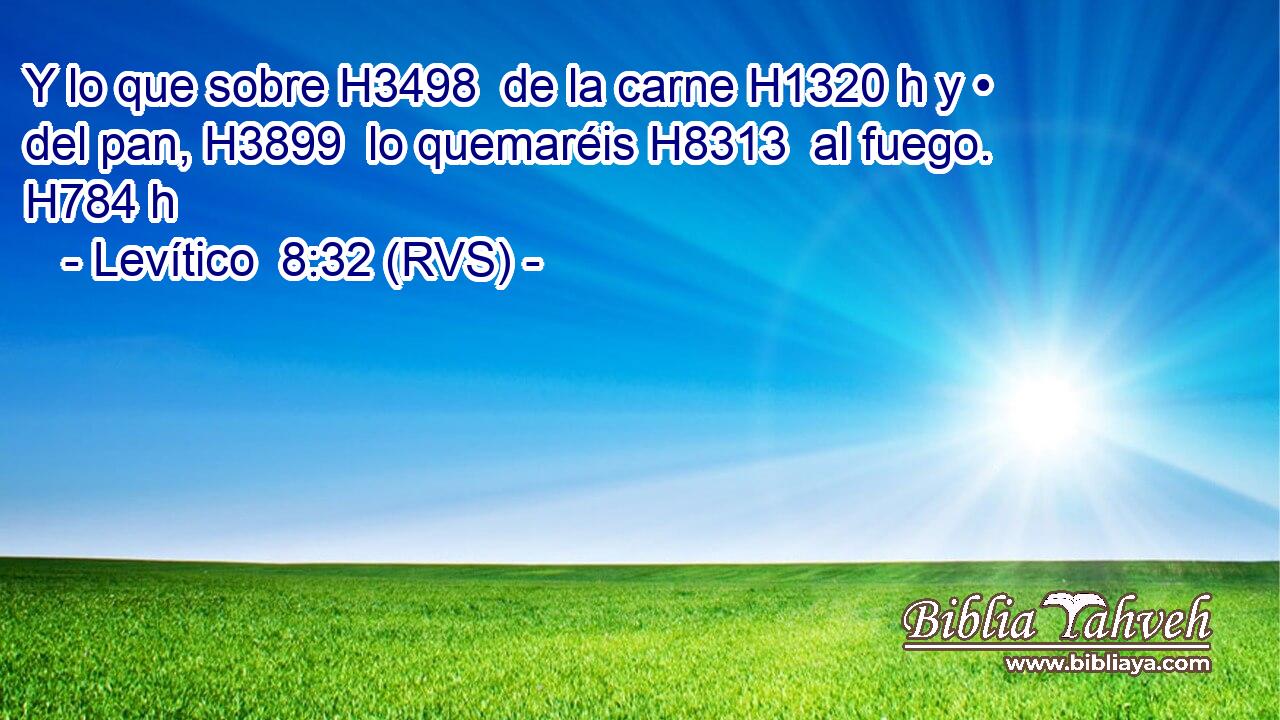 Y lo que sobre H3498  de la carne H1320 h y • del pan, H3899  lo quemaréis H8313  al fuego. H784 h 