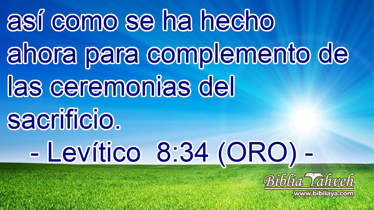  así como se ha hecho ahora para complemento de las ceremonias del sacrificio. 