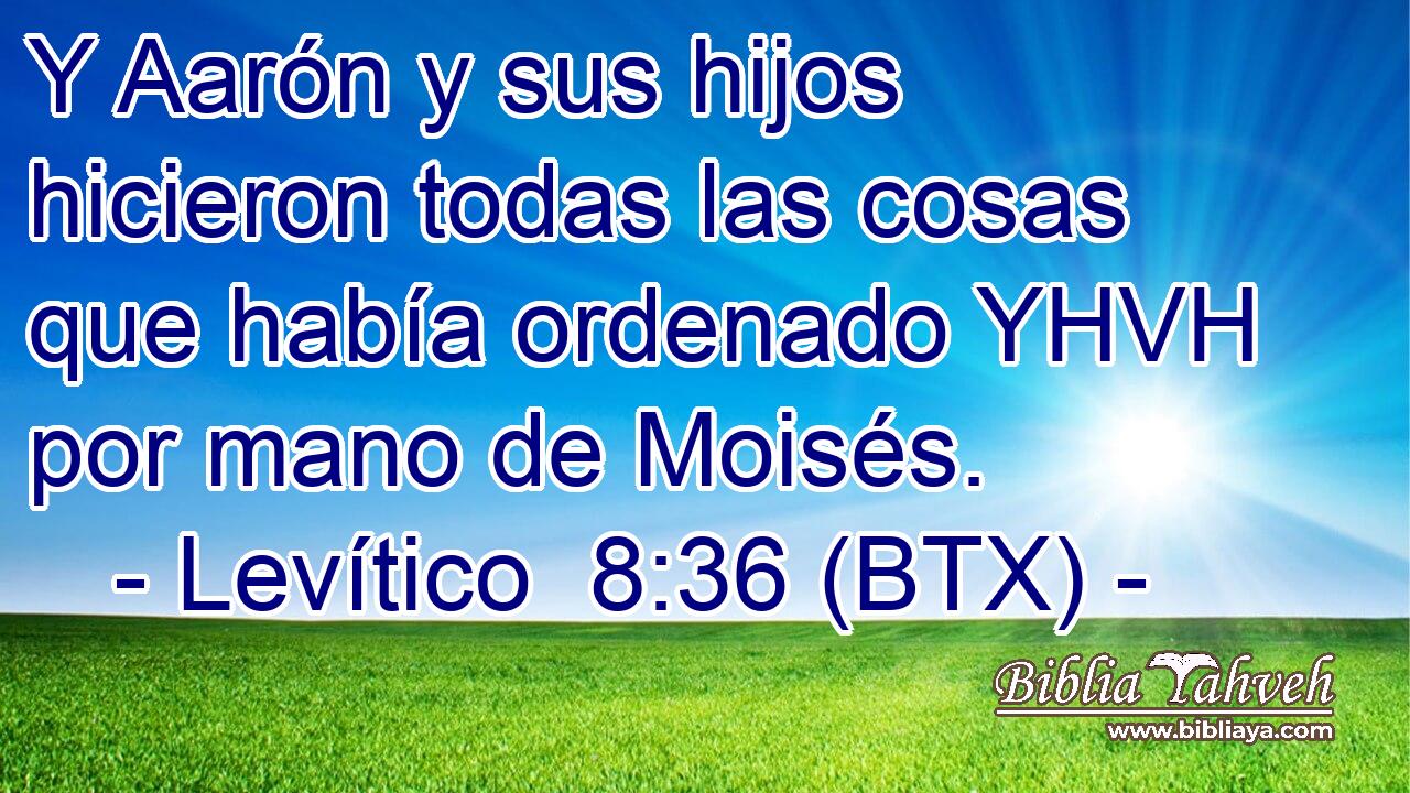 Y Aarón y sus hijos hicieron todas las cosas que había ordenado YHVH por mano de Moisés.
