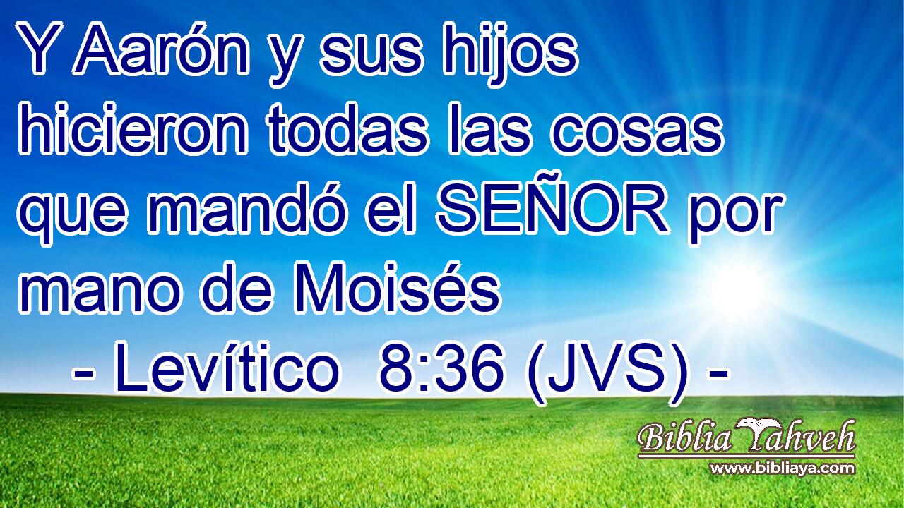 Y Aarón y sus hijos hicieron todas las cosas que mandó el SEÑOR por mano de Moisés