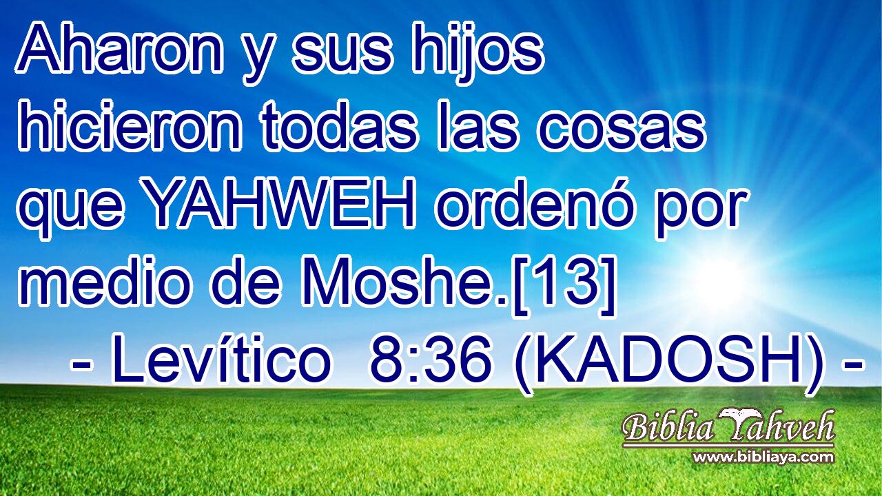  Aharon y sus hijos hicieron todas las cosas que YAHWEH ordenó por medio de Moshe.[13] 