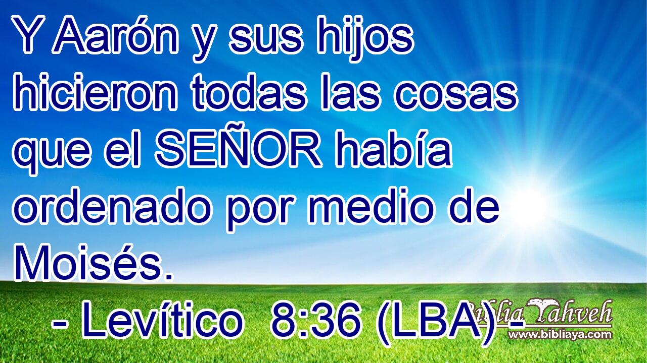 Y Aarón y sus hijos hicieron todas las cosas que el SEÑOR había ordenado por medio de Moisés.