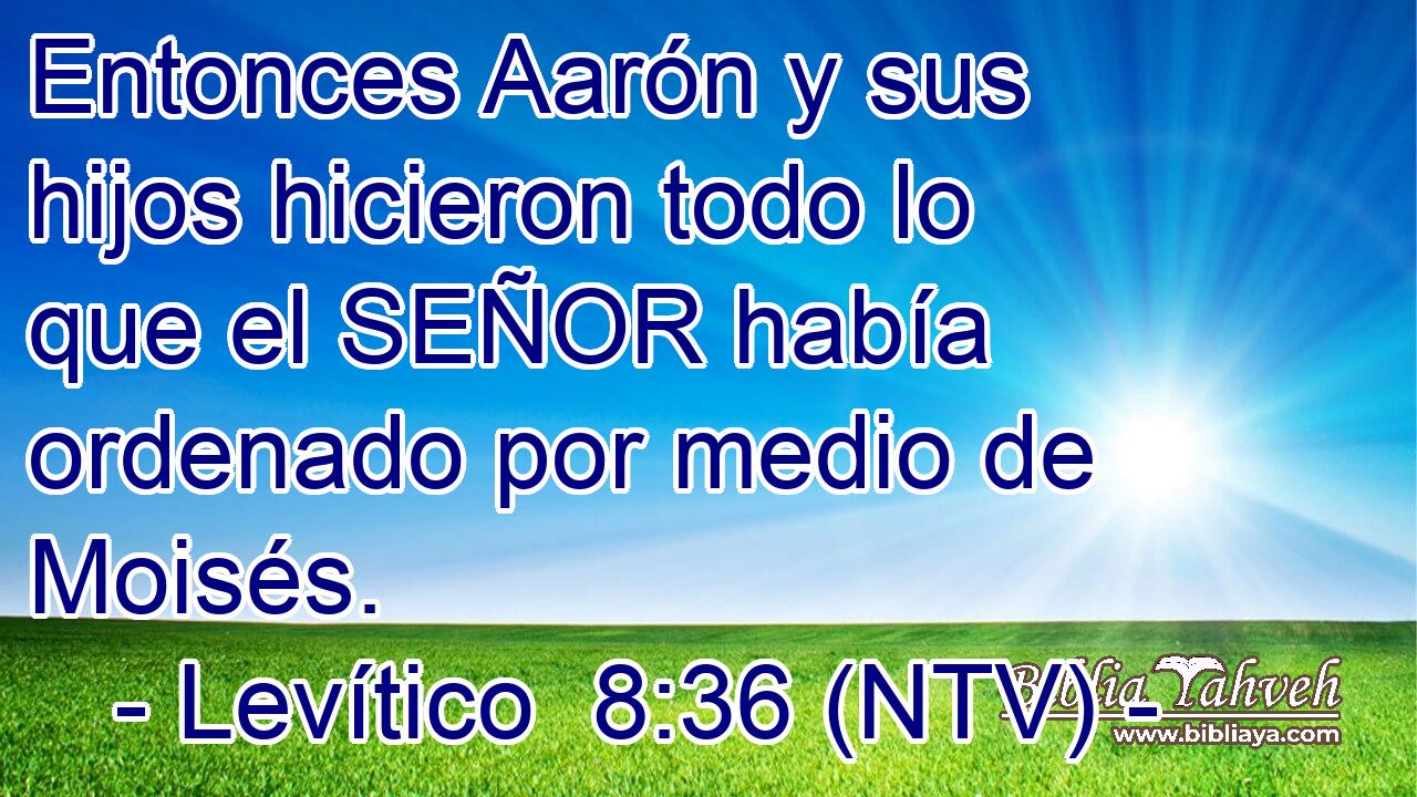Entonces Aarón y sus hijos hicieron todo lo que el SEÑOR había ordenado por medio de Moisés.