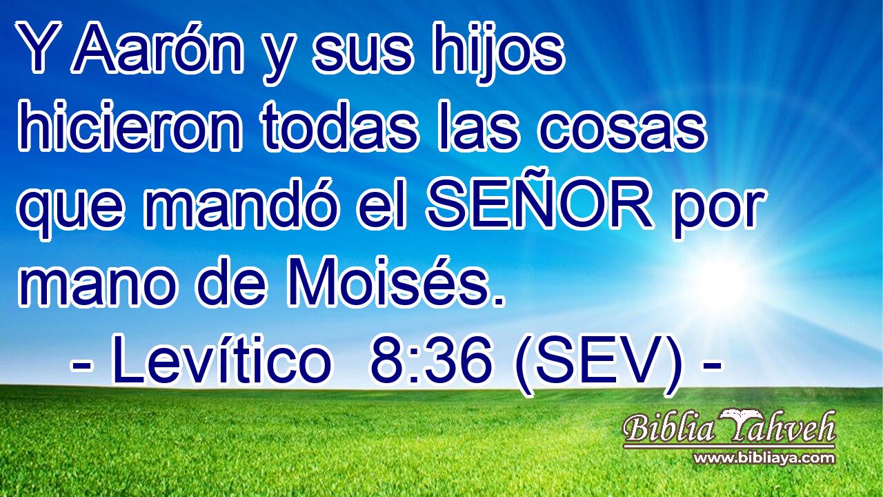 Y Aarón y sus hijos hicieron todas las cosas que mandó el SEÑOR por mano de Moisés.
