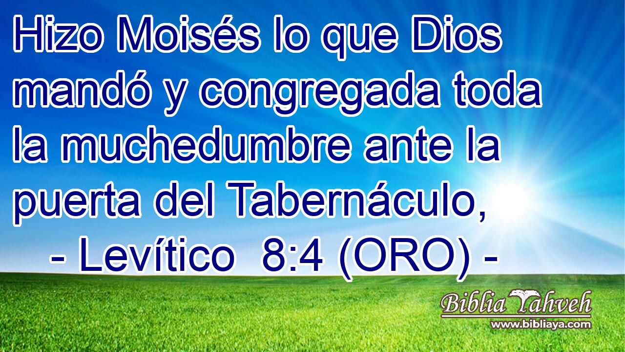  Hizo Moisés lo que Dios mandó y congregada toda la muchedumbre ante la puerta del Tabernáculo, 