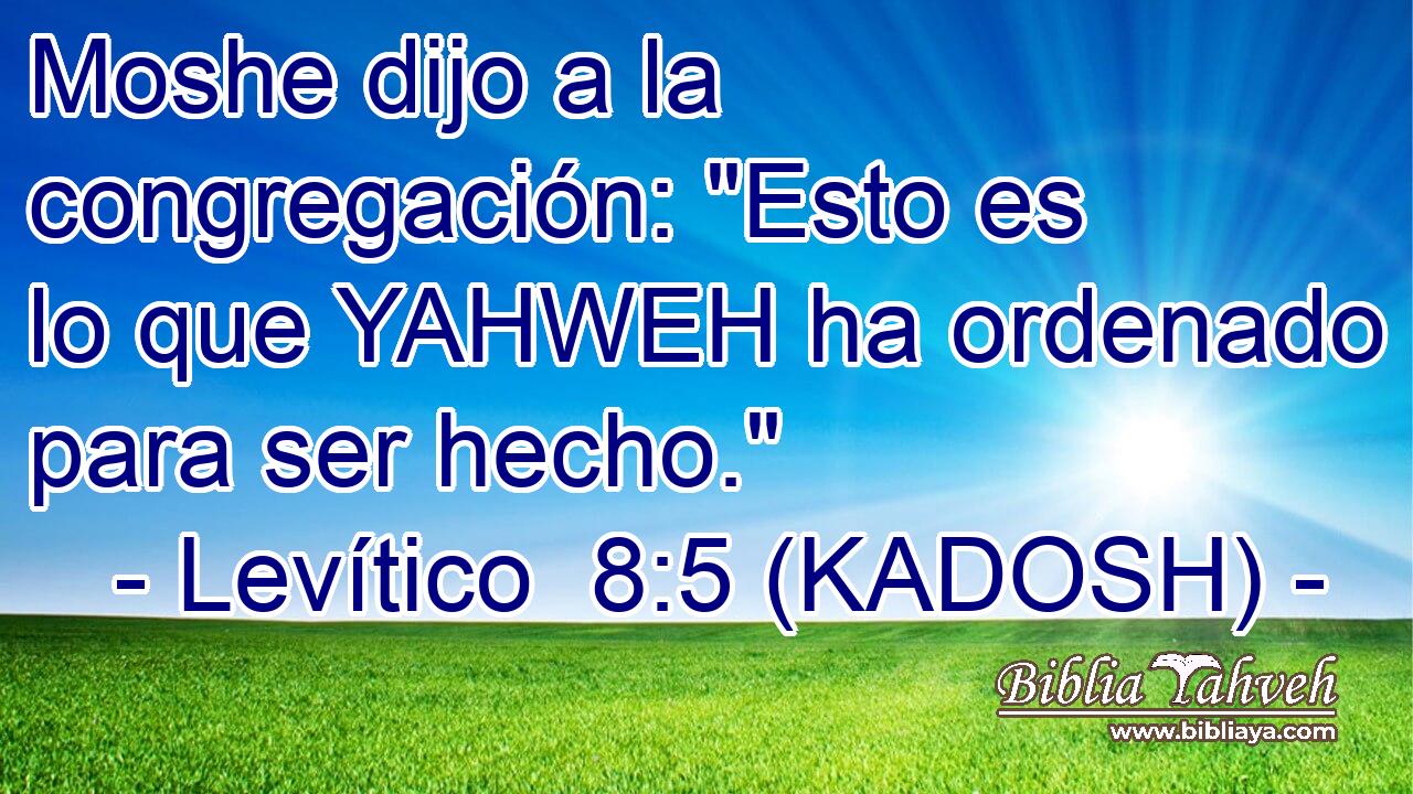  Moshe dijo a la congregación: 