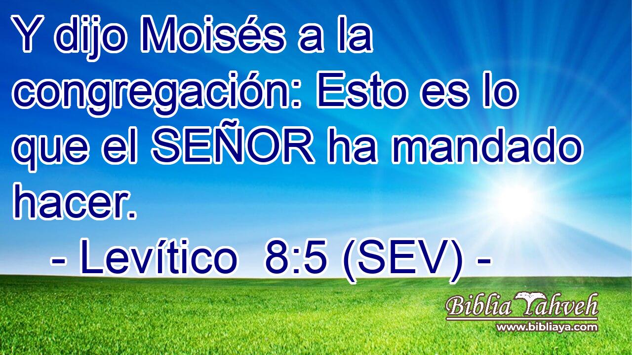 Y dijo Moisés a la congregación: Esto es lo que el SEÑOR ha mandado hacer.