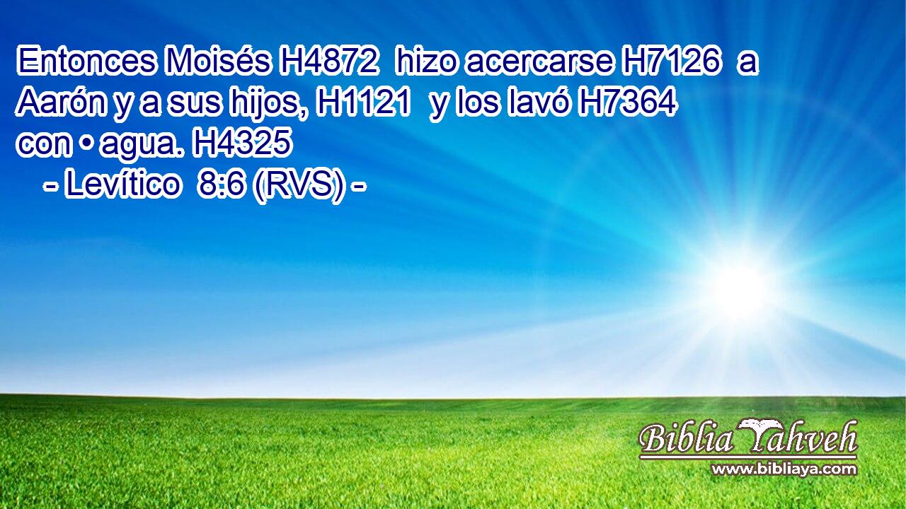 Entonces Moisés H4872  hizo acercarse H7126  a Aarón y a sus hijos, H1121  y los lavó H7364  con • agua. H4325  