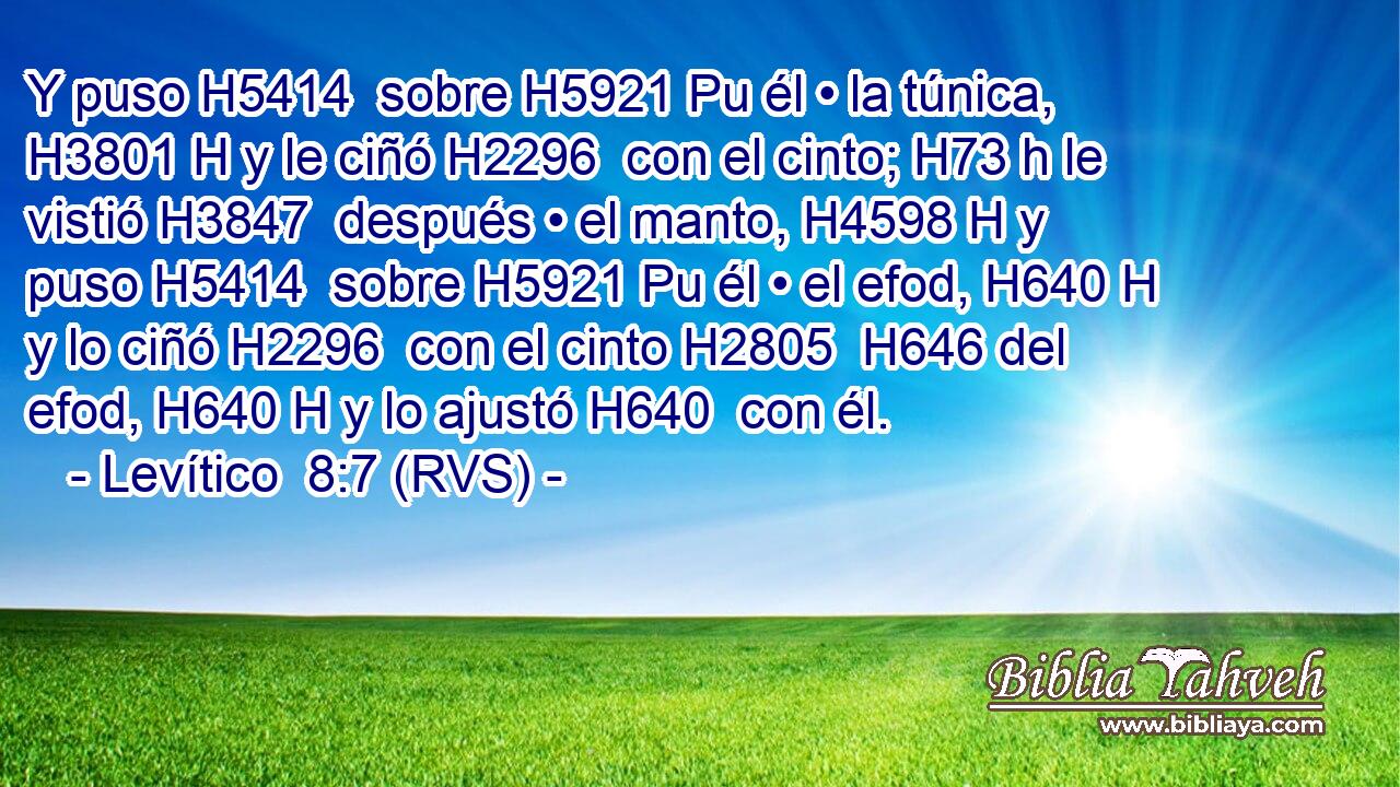 Y puso H5414  sobre H5921 Pu él • la túnica, H3801 H y le ciñó H2296  con el cinto; H73 h le vistió H3847  después • el manto, H4598 H y puso H5414  sobre H5921 Pu él • el efod, H640 H y lo ciñó H2296  con el cinto H2805  H646 del efod, H640 H y lo ajustó H640  con él. 