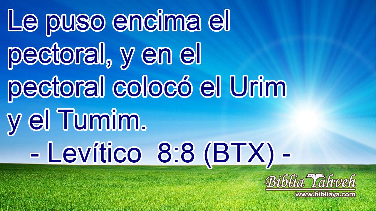 Le puso encima el pectoral, y en el pectoral colocó el Urim y el Tumim.
