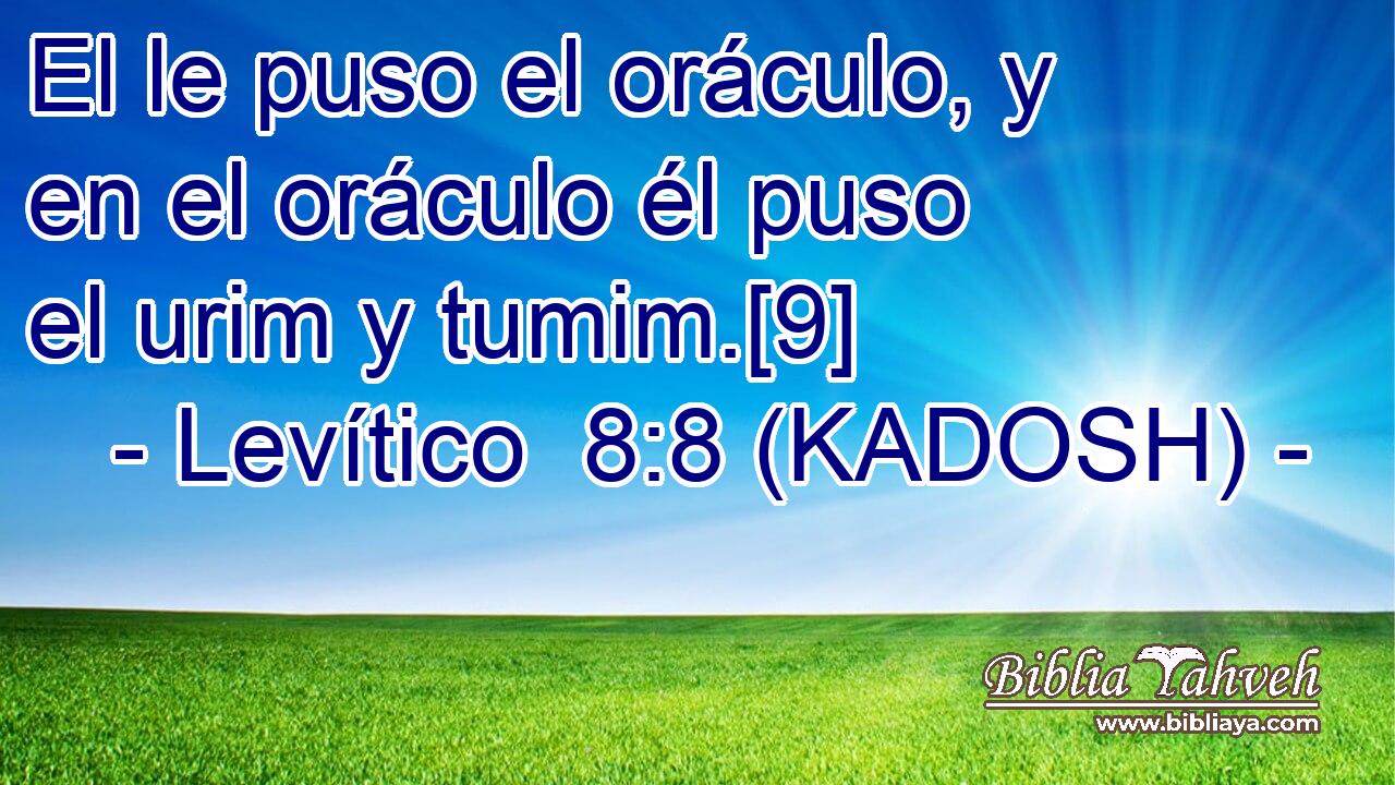  El le puso el oráculo, y en el oráculo él puso el urim y tumim.[9] 