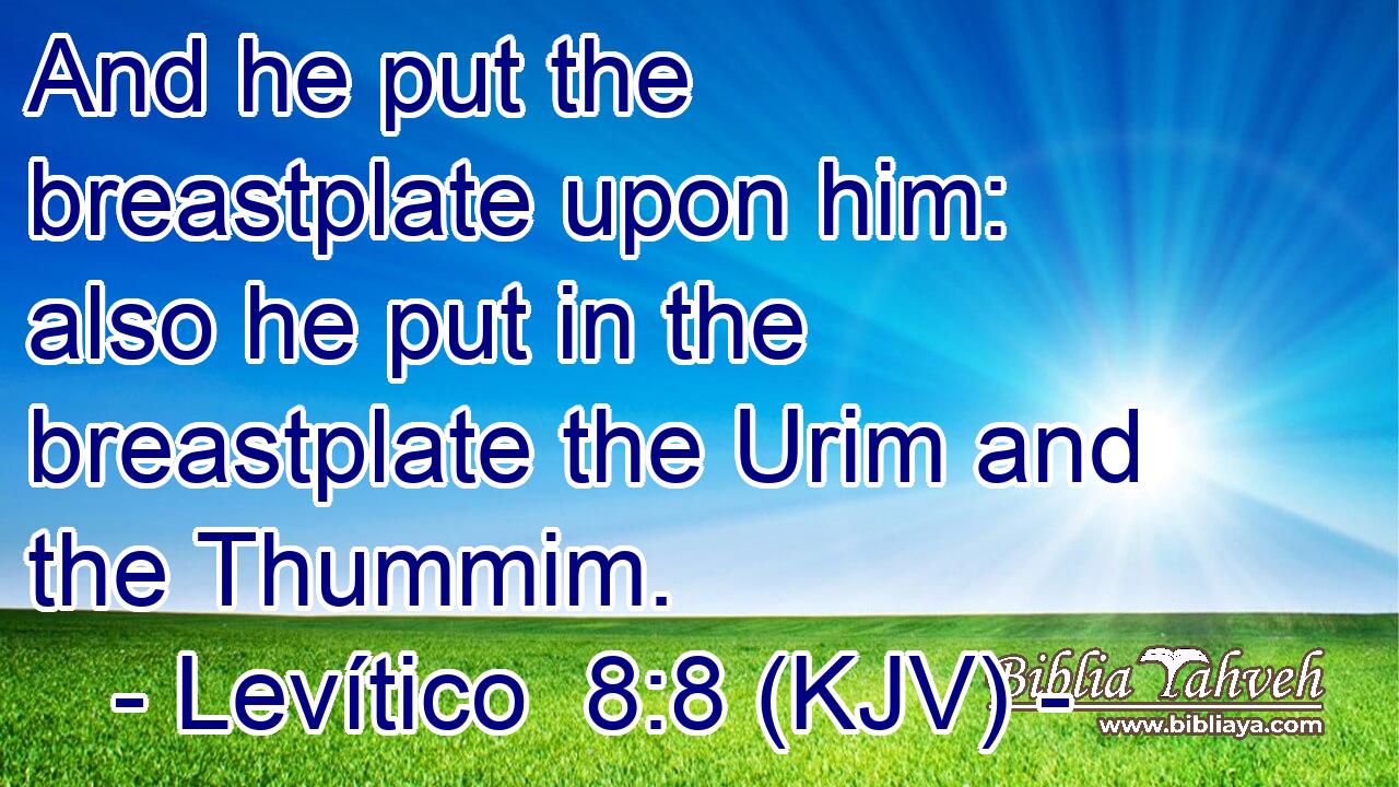 And he put the breastplate upon him: also he put in the breastplate the Urim and the Thummim.