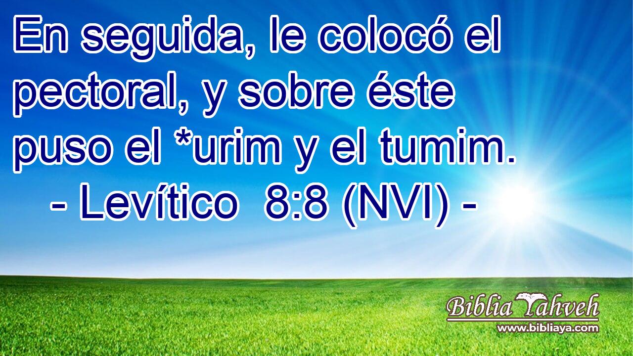  En seguida, le colocó el pectoral, y sobre éste puso el *urim y el tumim. 