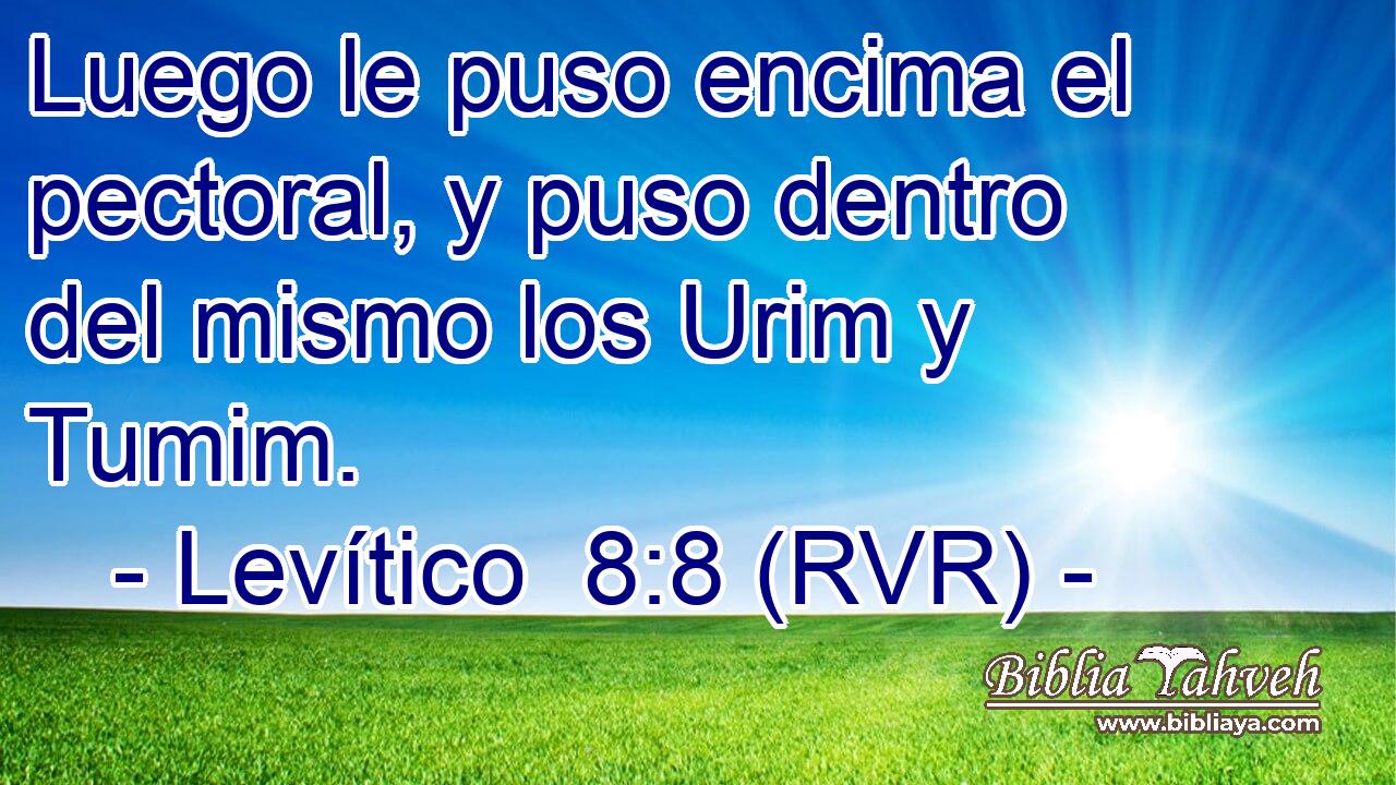 Luego le puso encima el pectoral, y puso dentro del mismo los Urim y Tumim.