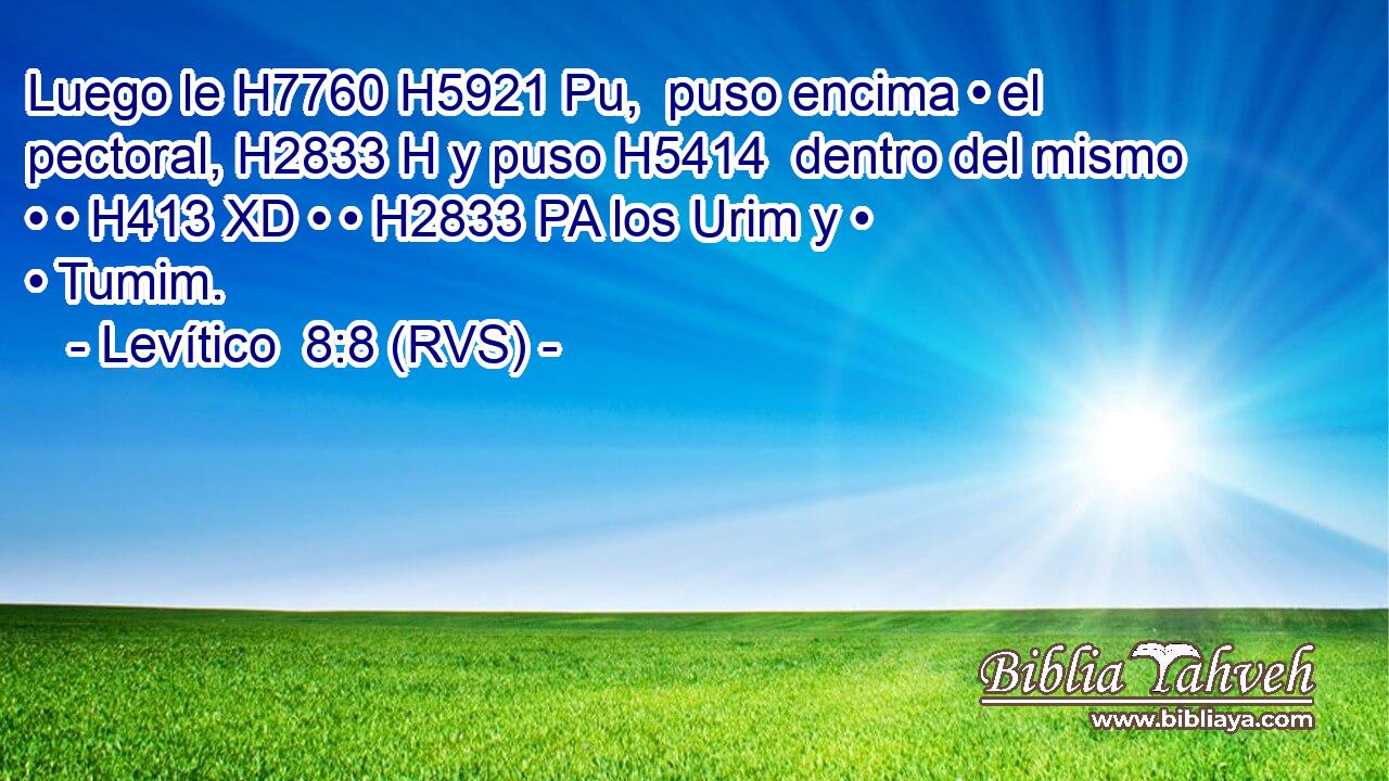 Luego le H7760 H5921 Pu,  puso encima • el pectoral, H2833 H y puso H5414  dentro del mismo • • H413 XD • • H2833 PA los Urim y • • Tumim. 