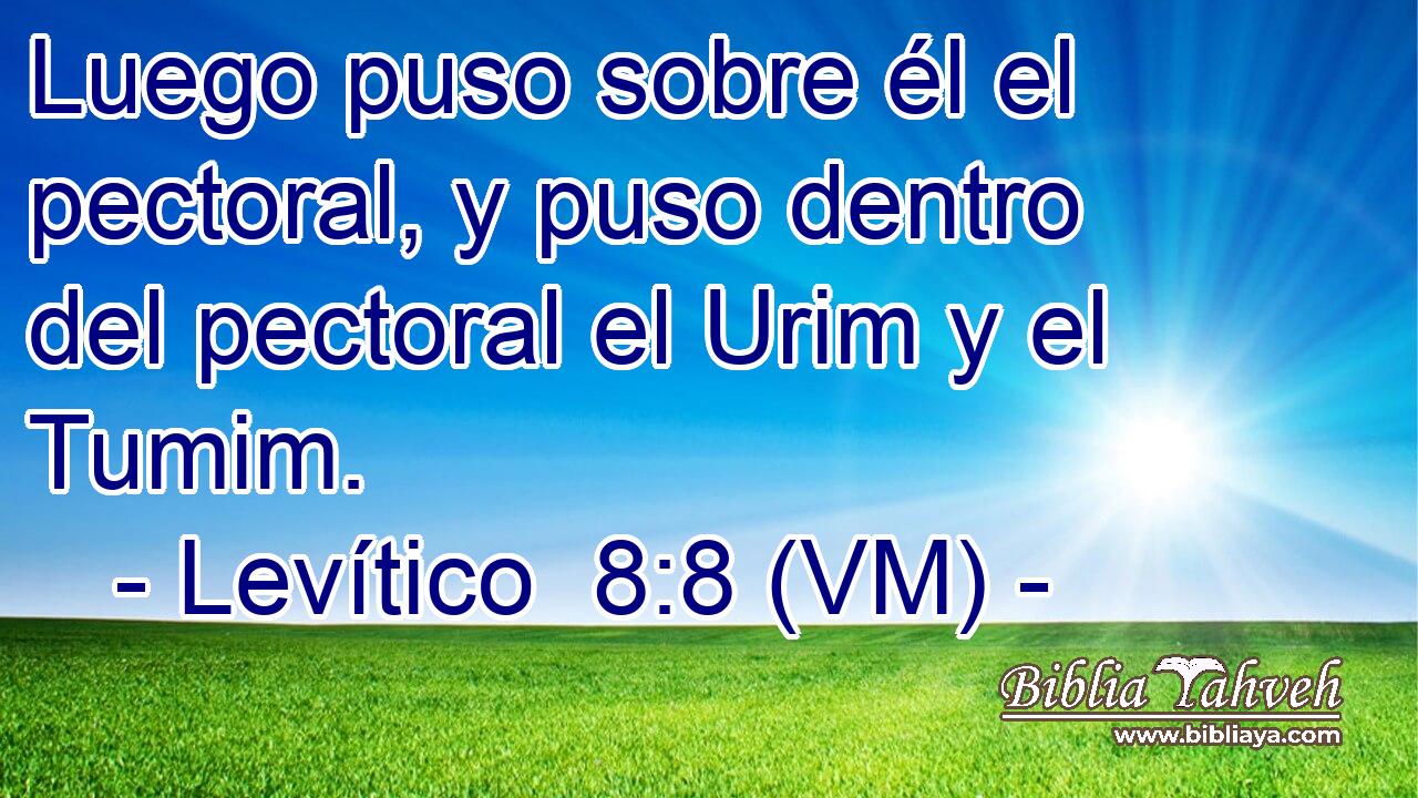  Luego puso sobre él el pectoral, y puso dentro del pectoral el Urim y el Tumim. 