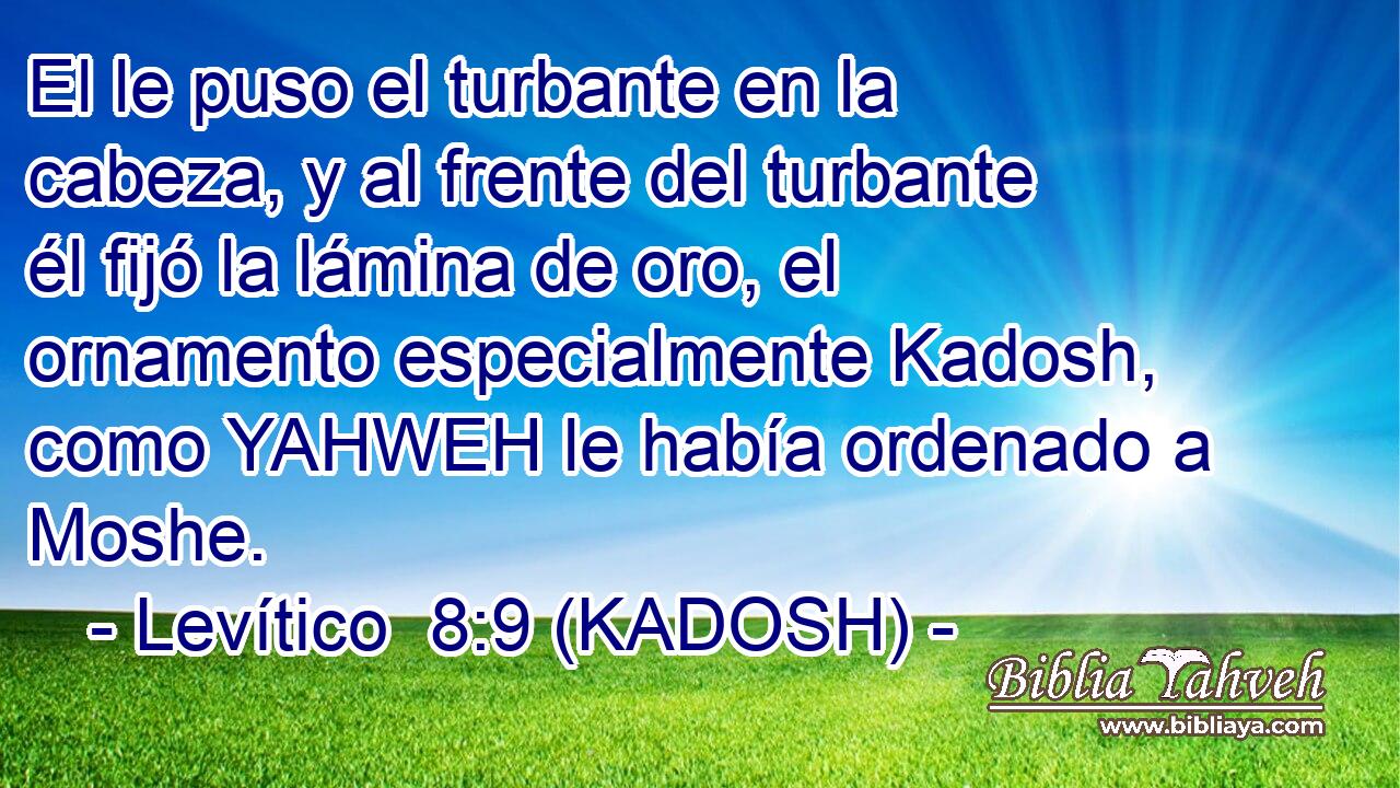  El le puso el turbante en la cabeza, y al frente del turbante él fijó la lámina de oro, el ornamento especialmente Kadosh, como YAHWEH le había ordenado a Moshe. 