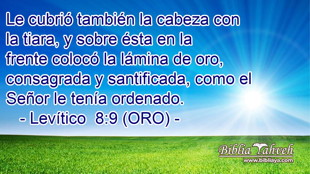  Le cubrió también la cabeza con la tiara, y sobre ésta en la frente colocó la lámina de oro, consagrada y santificada, como el Señor le tenía ordenado. 