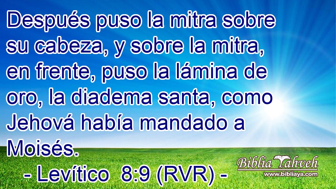 Después puso la mitra sobre su cabeza, y sobre la mitra, en frente, puso la lámina de oro, la diadema santa, como Jehová había mandado a Moisés.