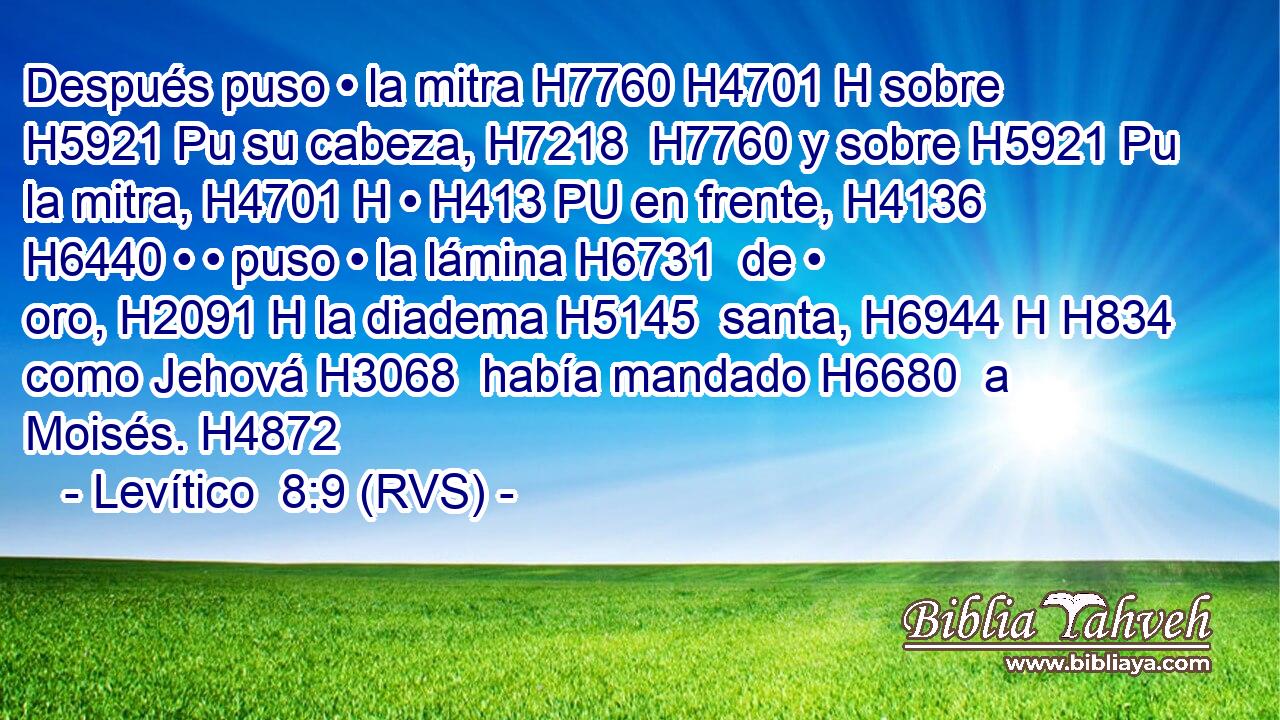 Después puso • la mitra H7760 H4701 H sobre H5921 Pu su cabeza, H7218  H7760 y sobre H5921 Pu la mitra, H4701 H • H413 PU en frente, H4136  H6440 • • puso • la lámina H6731  de • oro, H2091 H la diadema H5145  santa, H6944 H H834 como Jehová H3068  había mandado H6680  a Moisés. H4872  