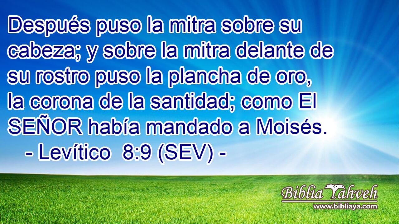 Después puso la mitra sobre su cabeza; y sobre la mitra delante de su rostro puso la plancha de oro, la corona de la santidad; como El SEÑOR había mandado a Moisés.