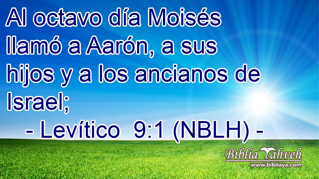  Al octavo día Moisés llamó a Aarón, a sus hijos y a los ancianos de Israel; 