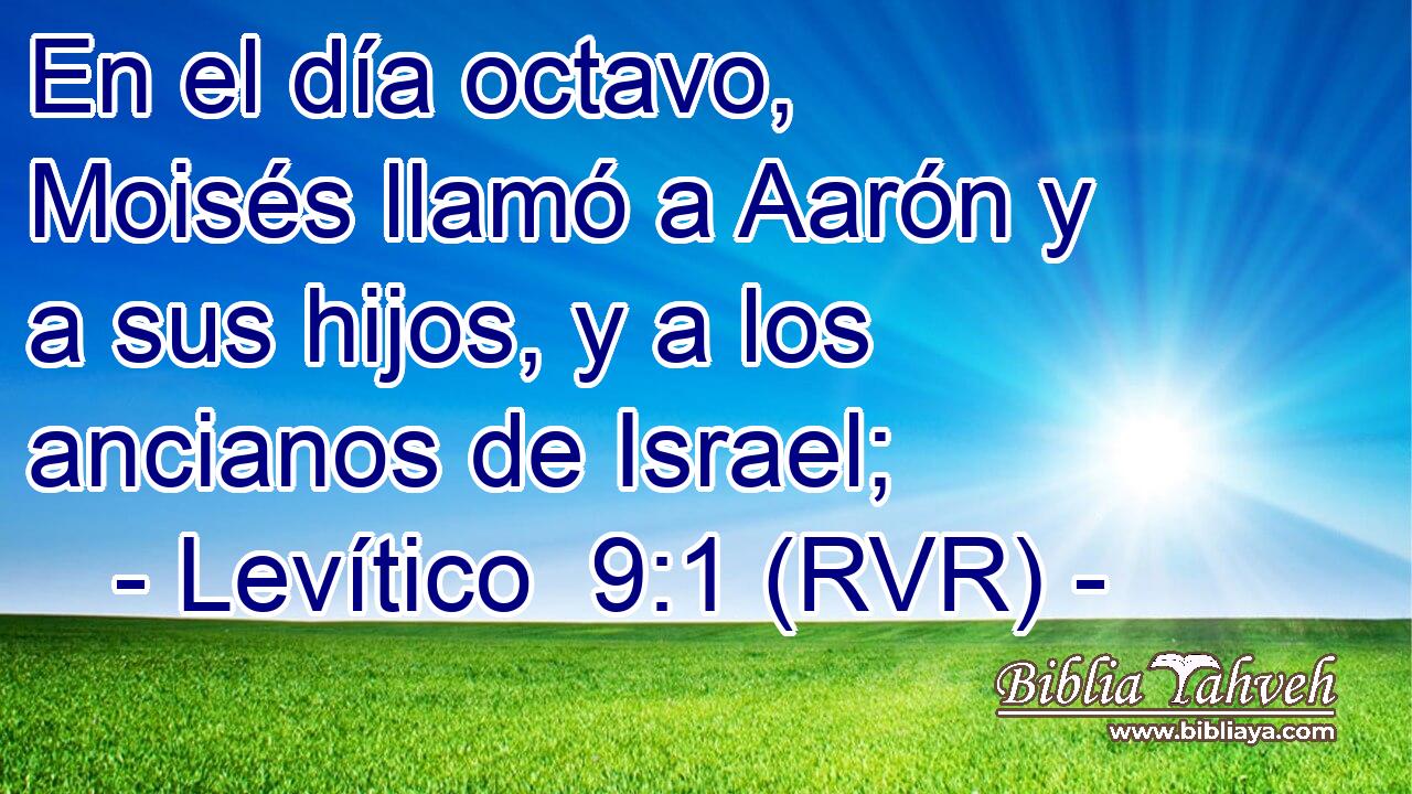 En el día octavo, Moisés llamó a Aarón y a sus hijos, y a los ancianos de Israel;