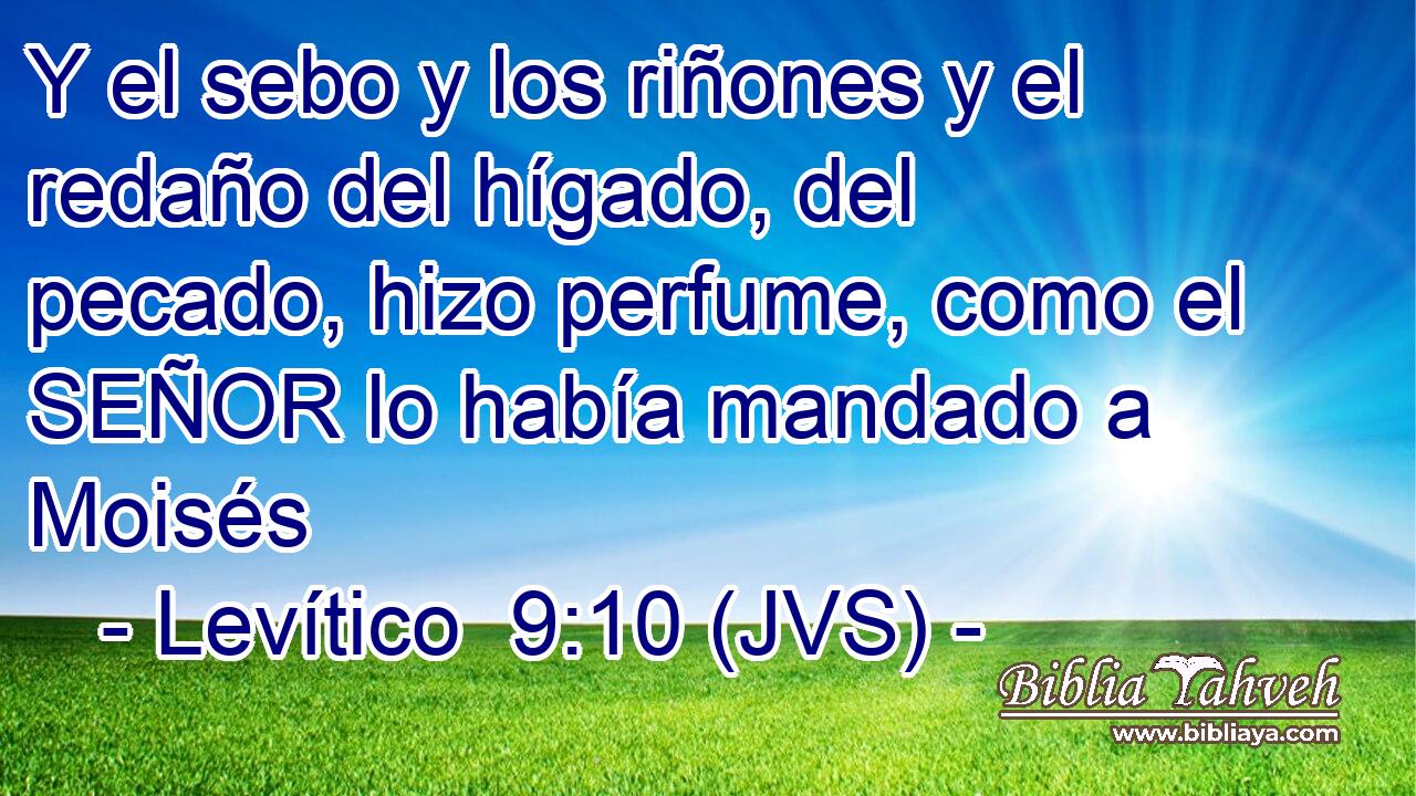 Y el sebo y los riñones y el redaño del hígado, del pecado, hizo perfume, como el SEÑOR lo había mandado a Moisés