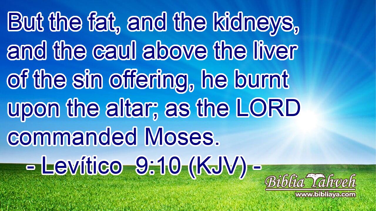 But the fat, and the kidneys, and the caul above the liver of the sin offering, he burnt upon the altar; as the LORD commanded Moses.