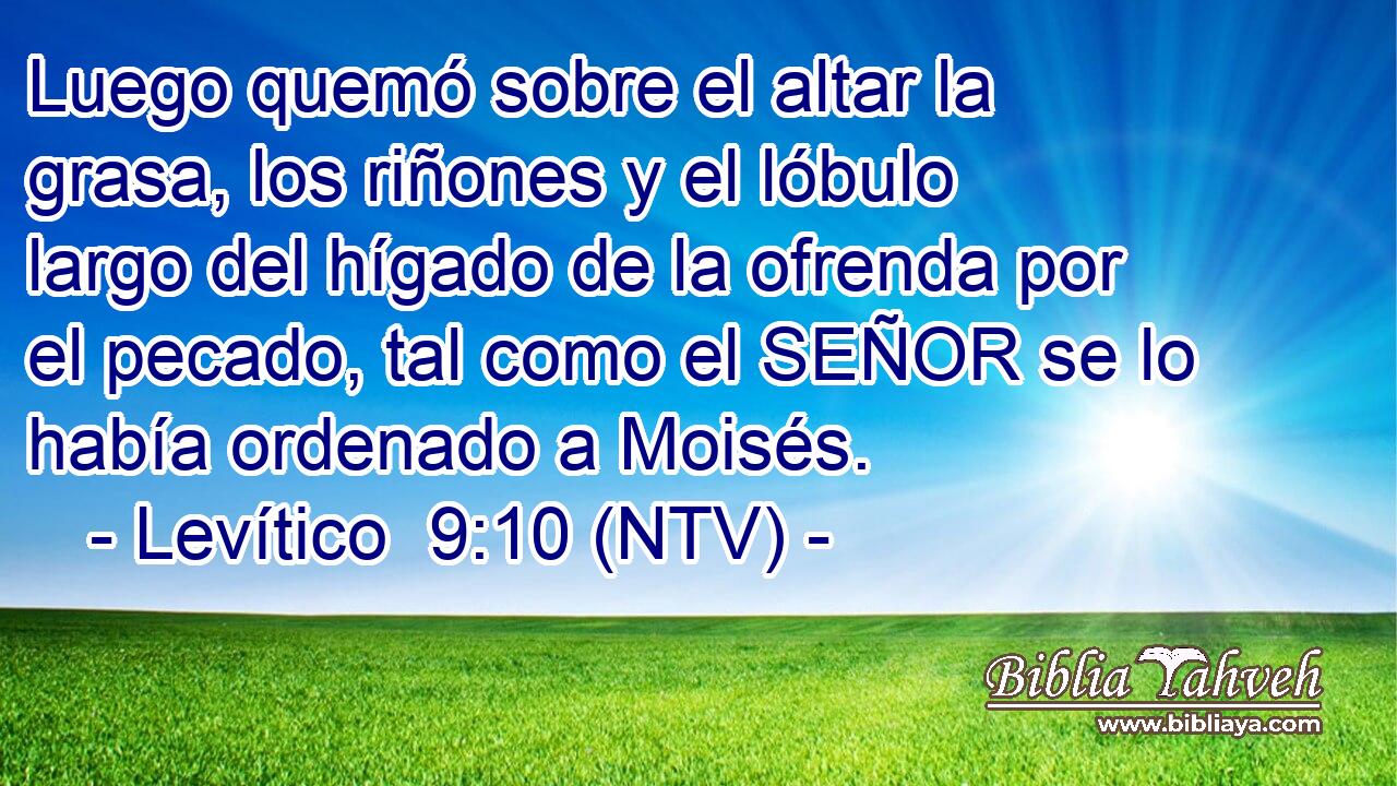 Luego quemó sobre el altar la grasa, los riñones y el lóbulo largo del hígado de la ofrenda por el pecado, tal como el SEÑOR se lo había ordenado a Moisés.