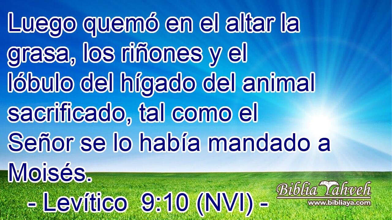  Luego quemó en el altar la grasa, los riñones y el lóbulo del hígado del animal sacrificado, tal como el Señor se lo había mandado a Moisés. 