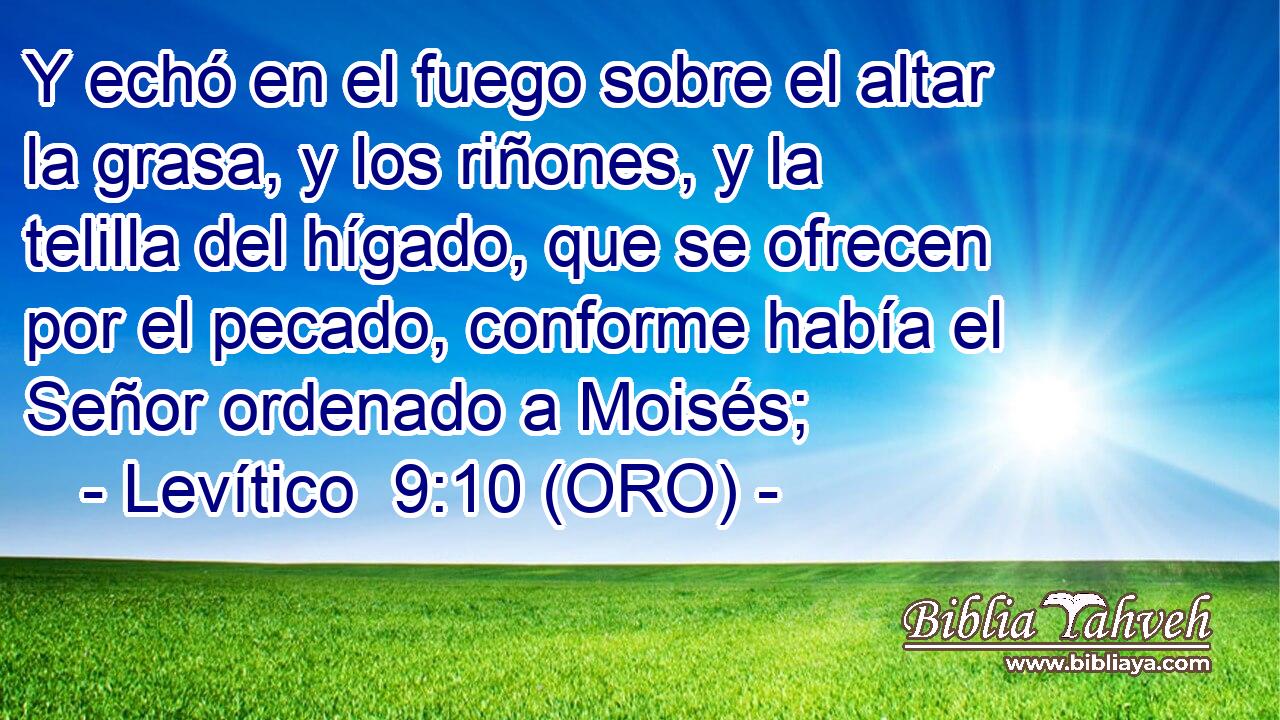  Y echó en el fuego sobre el altar la grasa, y los riñones, y la telilla del hígado, que se ofrecen por el pecado, conforme había el Señor ordenado a Moisés; 