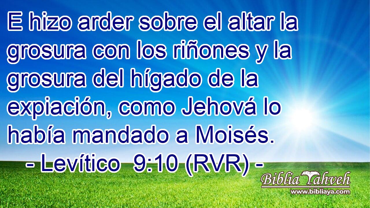 E hizo arder sobre el altar la grosura con los riñones y la grosura del hígado de la expiación, como Jehová lo había mandado a Moisés.