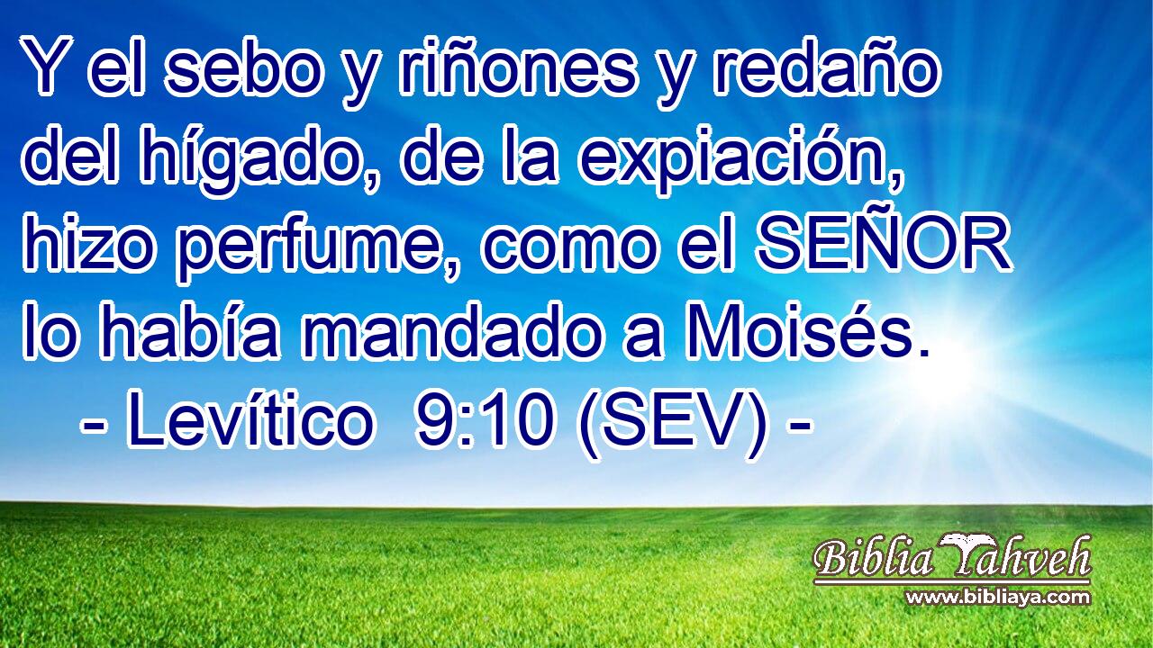 Y el sebo y riñones y redaño del hígado, de la expiación, hizo perfume, como el SEÑOR lo había mandado a Moisés.