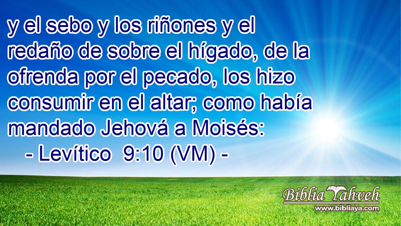  y el sebo y los riñones y el redaño de sobre el hígado, de la ofrenda por el pecado, los hizo consumir en el altar; como había mandado Jehová a Moisés: 